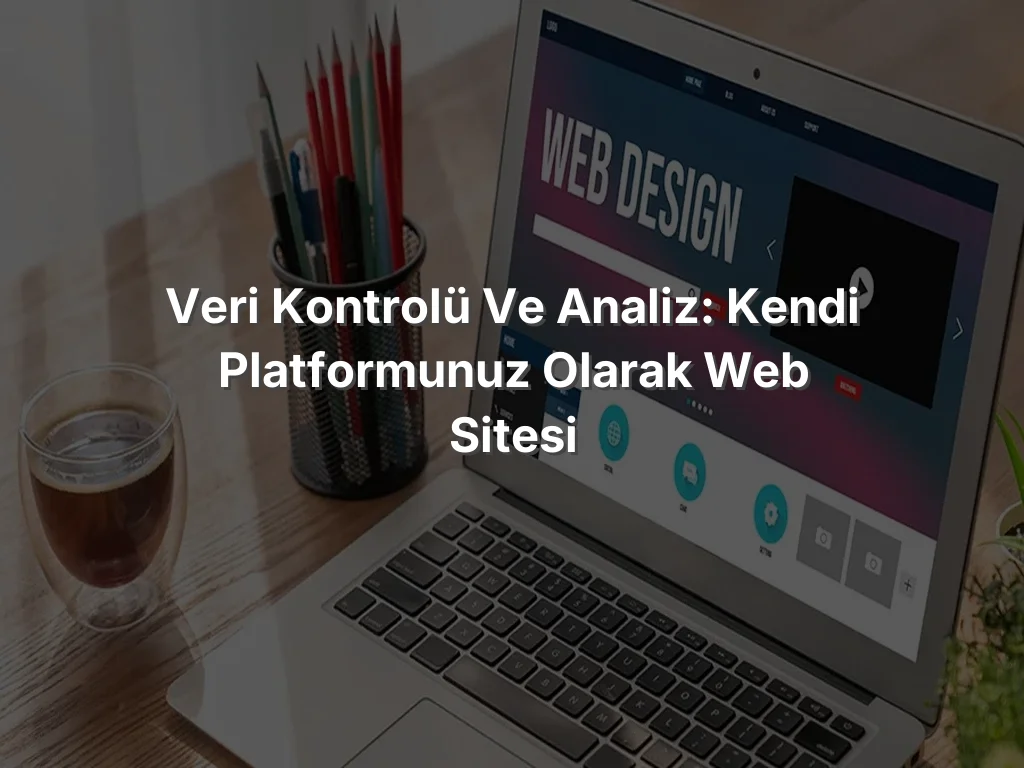 Veri Kontrolü ve Analiz: Kendi Platformunuz Olarak Web Sitesi
