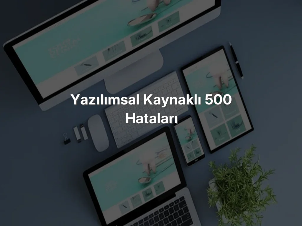 Yazılımsal Kaynaklı 500 Hataları
