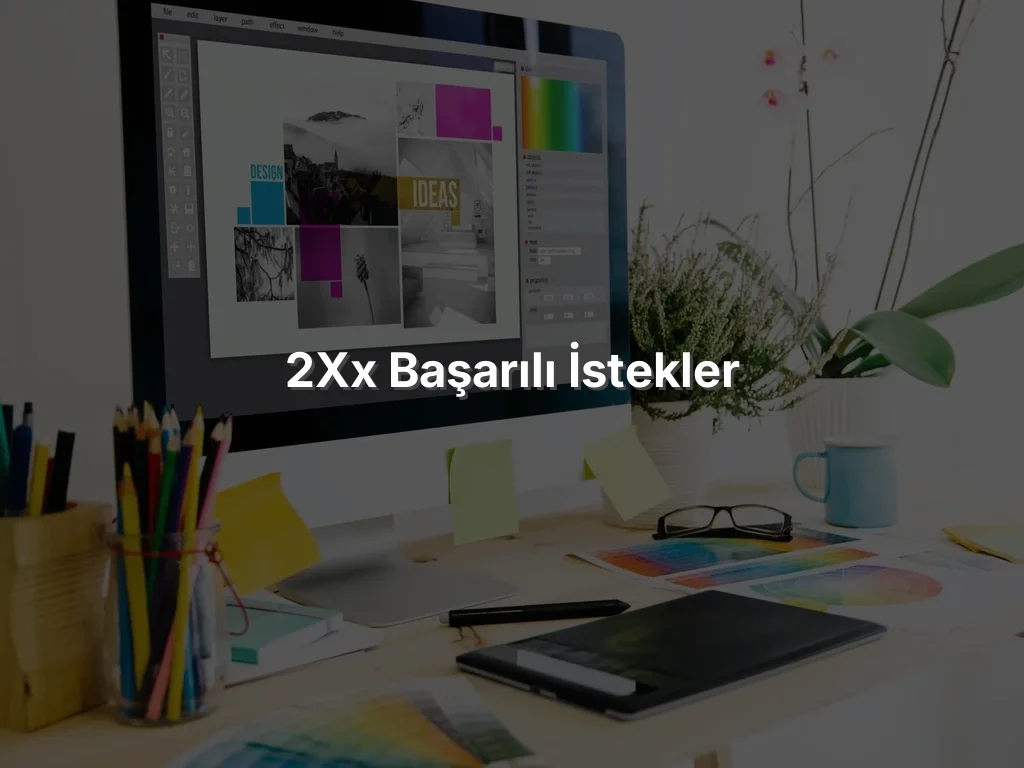 
2xx Başarılı İstekler
