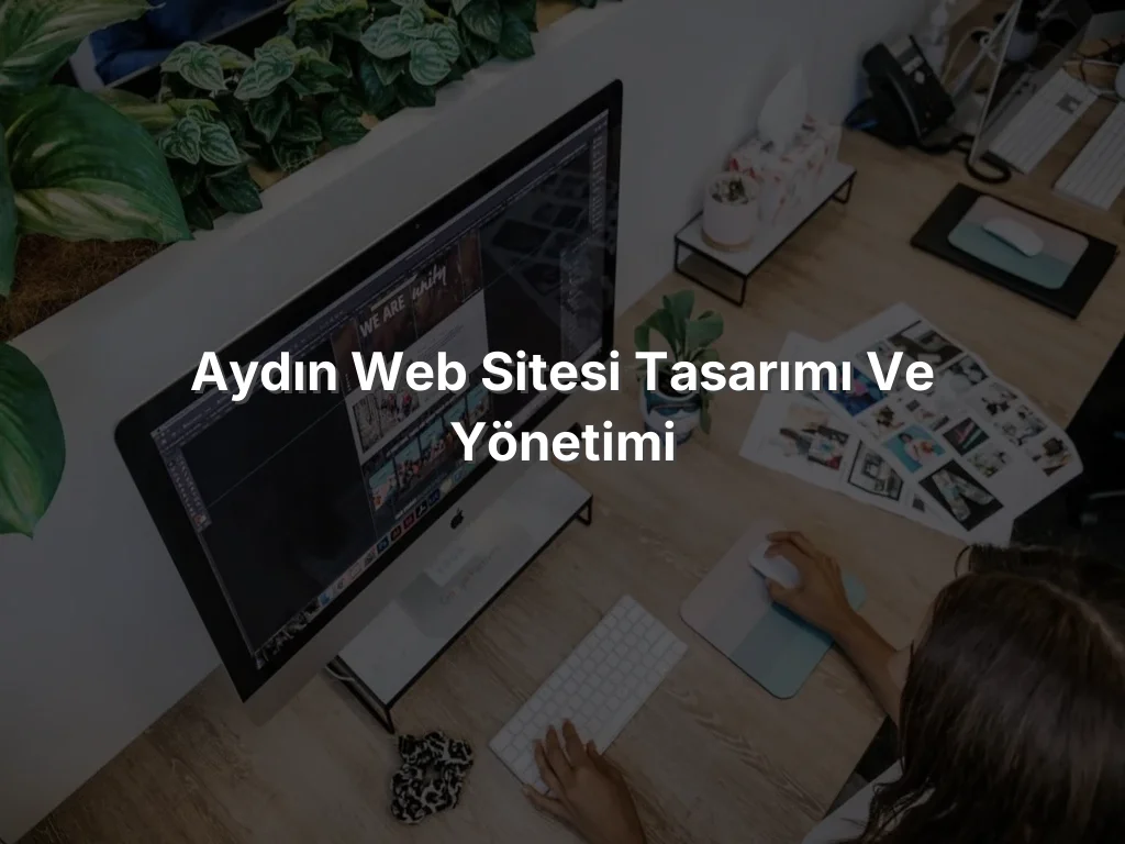 Aydın Web Sitesi Tasarımı ve Yönetimi