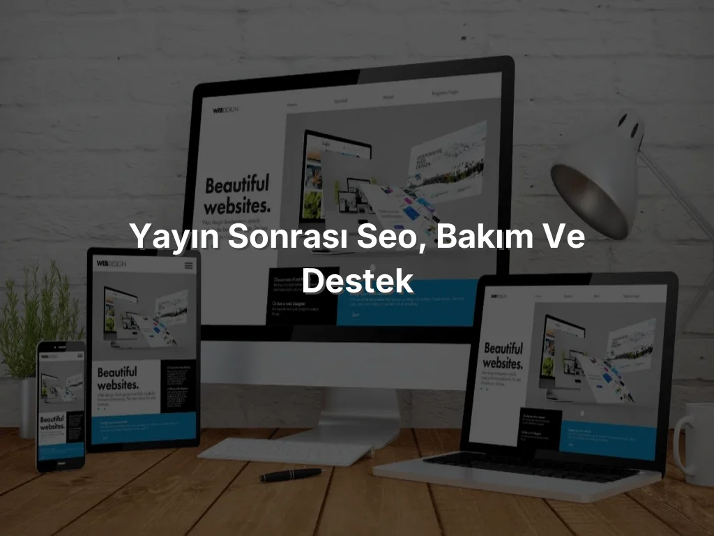 Yayın Sonrası SEO, Bakım ve Destek