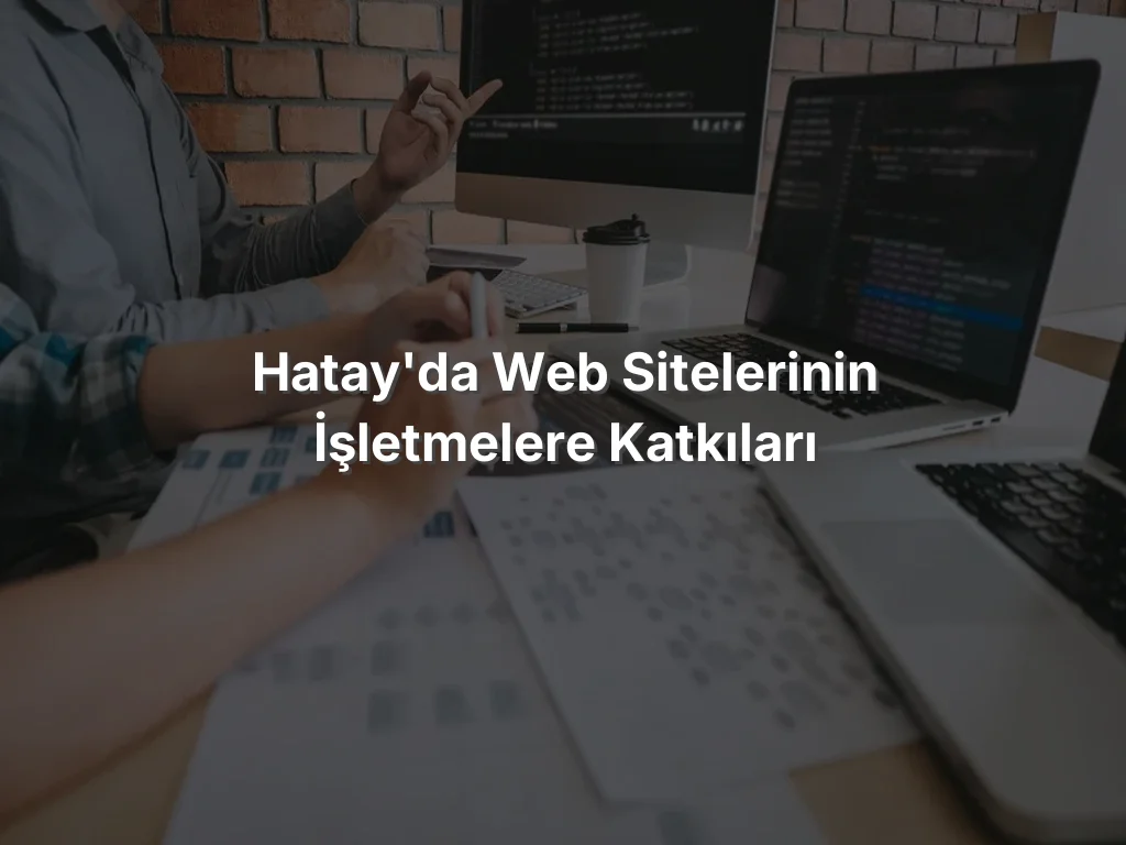 
Hatay'da Web Sitelerinin İşletmelere Katkıları
